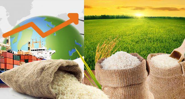 सरकारी राशन में गेहूं-चवाल के दाम बढ़ाने की सिफारिश: आर्थिक सर्वेक्षण