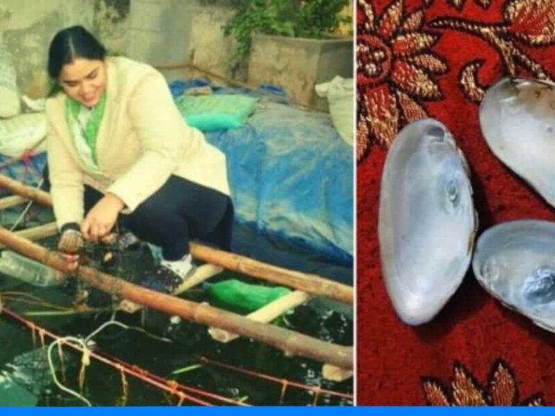 आगरा की रंजना ने कर दिया कमाल, बाथटब में मोती उगाकर कमाए 80,000 रूपए, आप भी जानिए तरीका 1 आगरा की रंजना ने कर दिया कमाल, बाथटब में मोती उगाकर कमाए 80,000 रूपए, आप भी जानिए तरीका