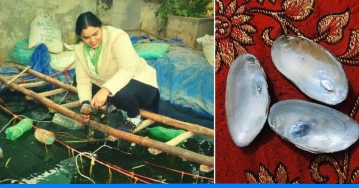 आगरा की रंजना ने कर दिया कमाल, बाथटब में मोती उगाकर कमाए 80,000 रूपए, आप भी जानिए तरीका 1 आगरा की रंजना ने कर दिया कमाल, बाथटब में मोती उगाकर कमाए 80,000 रूपए, आप भी जानिए तरीका