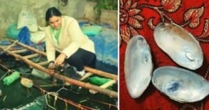 आगरा की रंजना ने कर दिया कमाल, बाथटब में मोती उगाकर कमाए 80,000 रूपए, आप भी जानिए तरीका 3 आगरा की रंजना ने कर दिया कमाल, बाथटब में मोती उगाकर कमाए 80,000 रूपए, आप भी जानिए तरीका