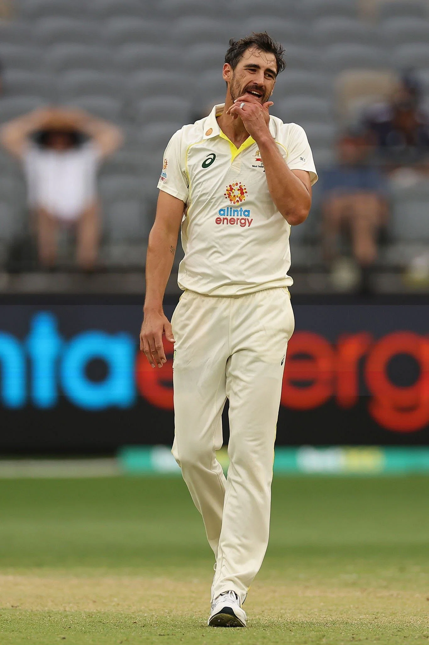 तीसरे टेस्ट से पहले कंगारुओं को लगा बड़ा झटका,Josh Hazlewood चोट के चलते पूरी सीरीज से बाहर