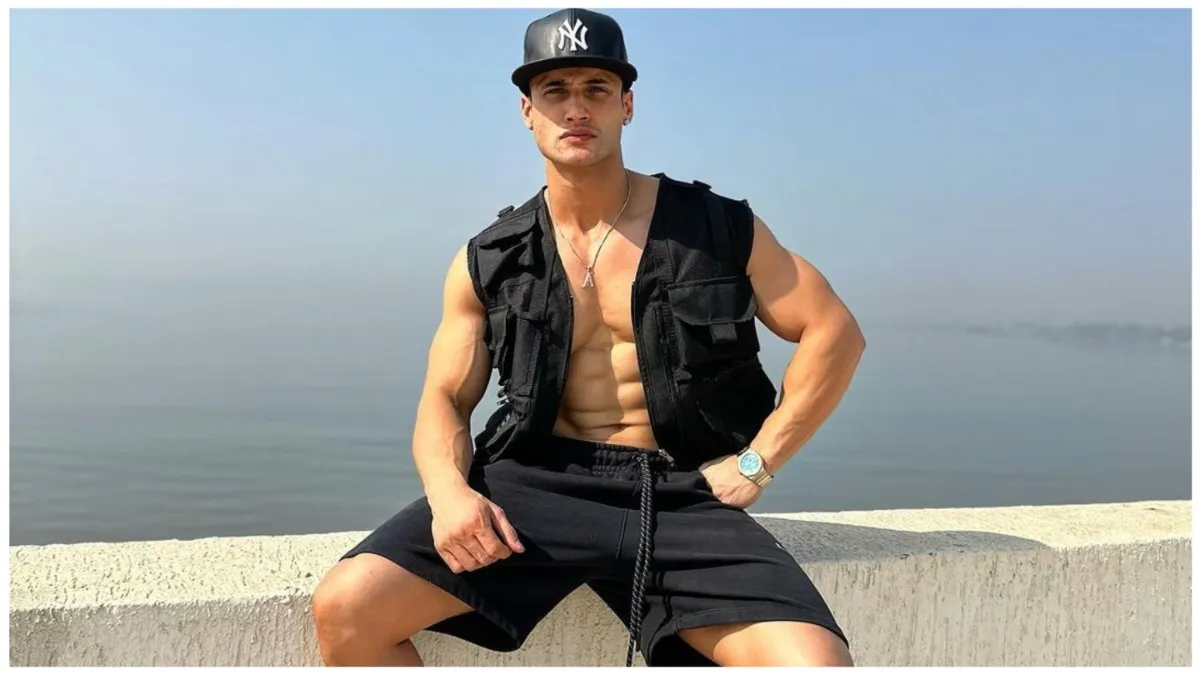 'बहुत पैसे हैं मेरे पास...' आसिम रियाज ने खतरों के खिलाड़ी में दिखाए तेवर, रोहित शेट्टी ने पलभर में निकाल दी हेकड़ी 4 Khatron Ke Khiladi 14