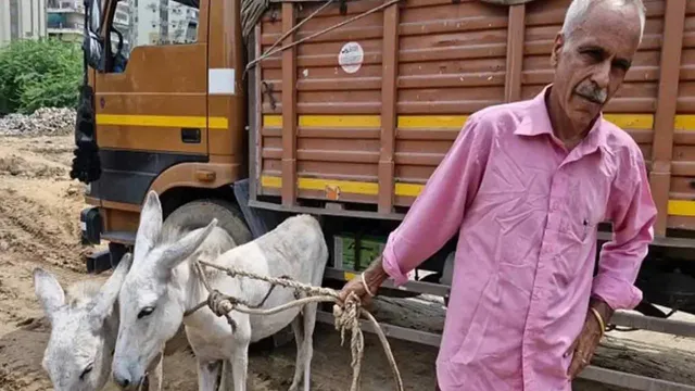 2 गधों को लेकर सड़क की धूल छान रहा है भारत का ये पूर्व Ias, वजह जानकर हिल जाएगा आपका दिमाग 2 Former Ias Praveen Kumar