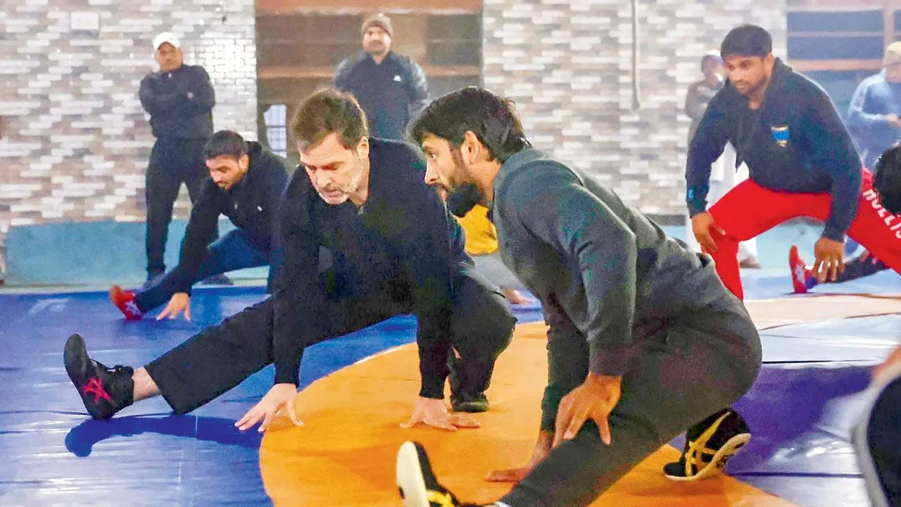 बजरंग पूनिया और विनेश फोगाट की राजनीति में एंट्री! हरियाणा चुनाव में राहुल गांधी के साथ मिलकर दिखाएंगे ताकत  4 Hariyana Election