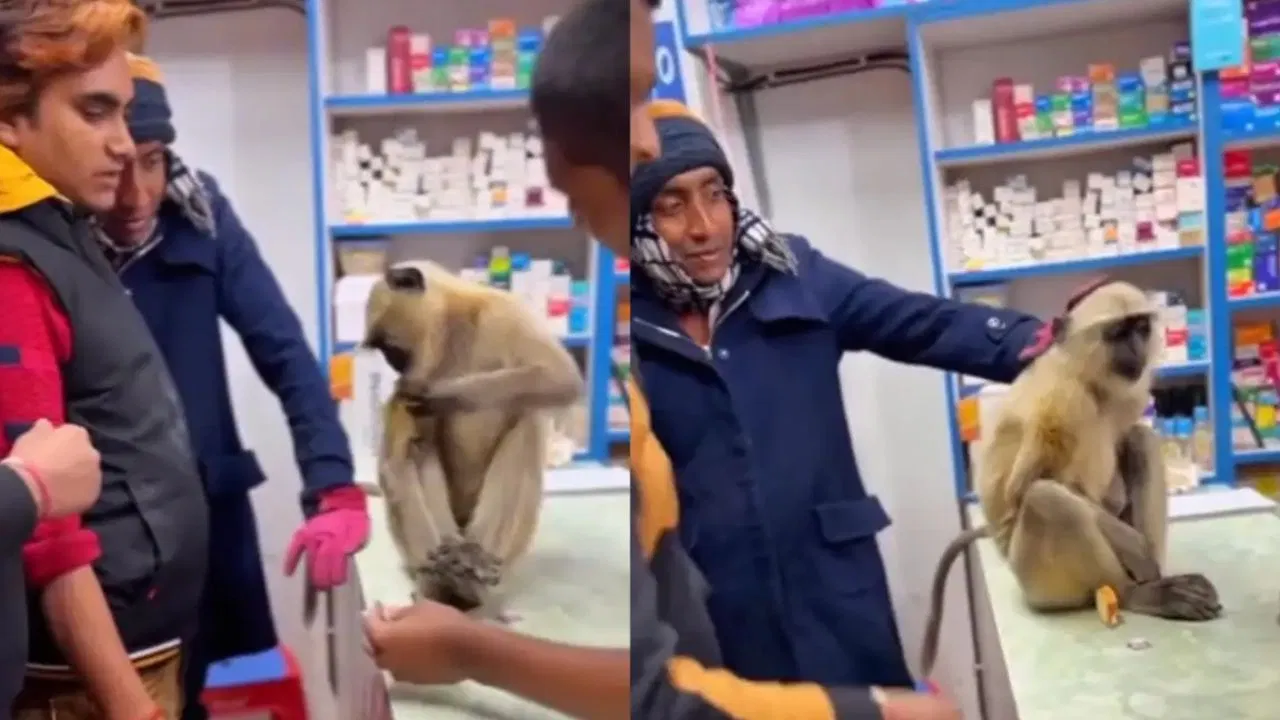 'जिसका कोई नहीं होता उसका भगवान होता है..' अपना इलाज करवाने खुद मेडिकल पहुंचा जख्मी बंदर, देखकर हर किसी के निकले आंसू 3 Viral Video