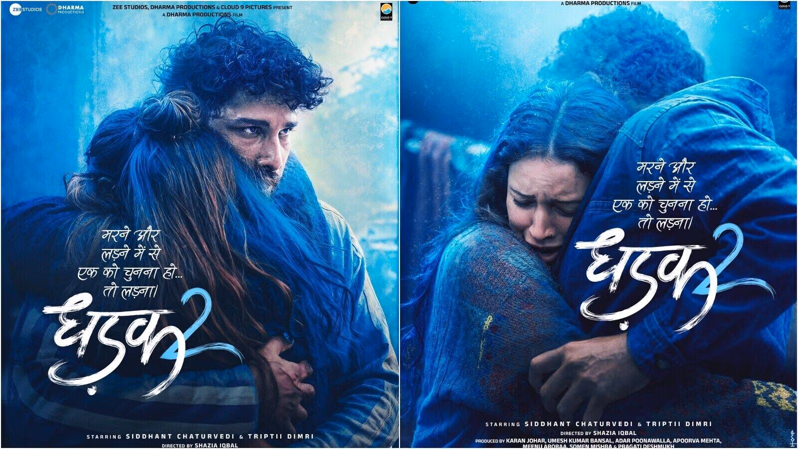 Dhadak 2